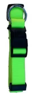 FREEDOG Collar Nylon Neon Verde Fluor - Coleira para cão