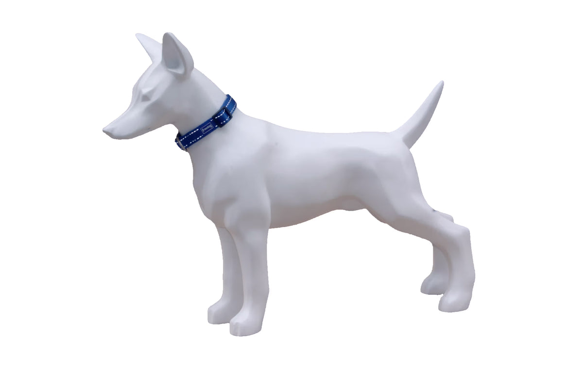FREEDOG Collar Nylon Reflect 15 mm x 35 / 50 cm - Dog collar