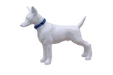 FREEDOG Collar Nylon Reflect 15 mm x 35 / 50 cm - Dog collar