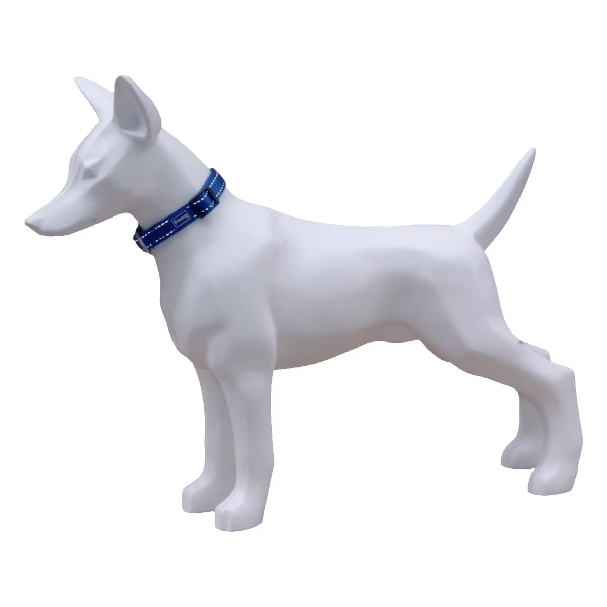 FREEDOG Collar Nylon Reflect 15 mm x 35 / 50 cm - Coleira para cão