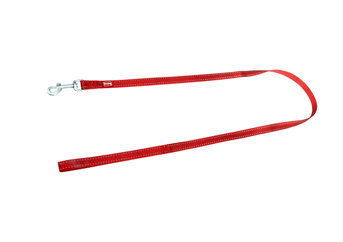 FREEDOG Correa Nylon Reflect - Coleira para cão refletora