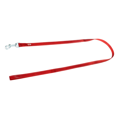 FREEDOG Correa Nylon Reflect - Coleira para cão refletora