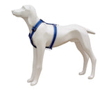FREEDOG Arnes Confort Reflect 30 mm x 45 / 75 cm - Dog harness