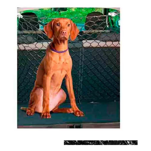 FREEDOG Red de Seguridad Separadora 140 x 120 cm - Red de seguridad para perro