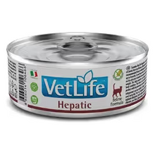 Farmina Vet Life Hepatic Cat Egg - Wet food for cats with hepatic insufficiency