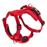 Ferribiella Cesare L Dog Harness