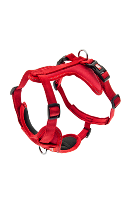 Ferribiella Peitoral Cesare XS para cão | Azul