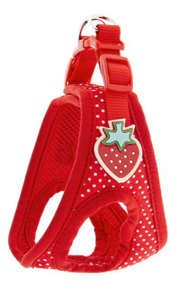 https://cdn.shopify.com/s/files/1/0916/7627/9129/files/Ferribiella_Peitoral_Pois_Strawberry.png?v=1737462775