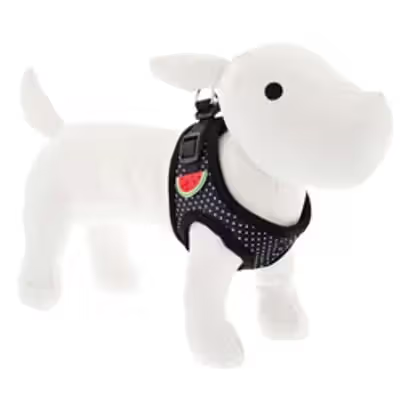 Ferribiella Pois Watermelon Dog Harness