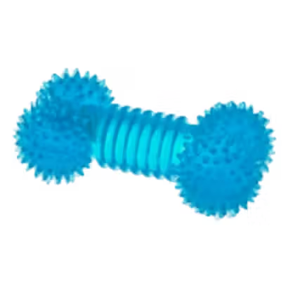 Ferribiella Rubber Bone with Spikes Dog Toy