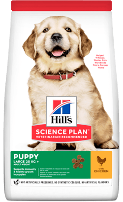 Ração para Cão Hills Science Plan Puppy Large Breed with Chicken | 12 kg + 2,5 Kg Oferta