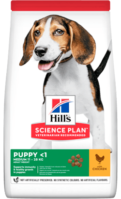 Ração para Cão Hills Science Plan Medium Puppy with Chicken | 14 kg