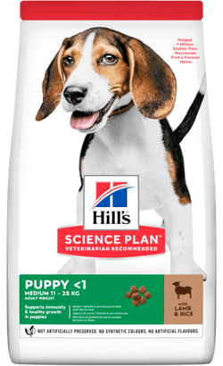 Ração para Cão Hills Science Plan Medium Puppy with Lamb & Rice | 14 kg