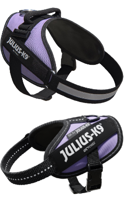Arnês para Cão Julius-K9 IDC Powerharness | Roxo | 3XS / Bebé 1