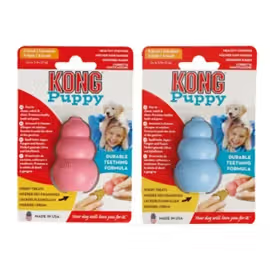 Brinquedo para cão Kong Puppy Cores Sortidas
