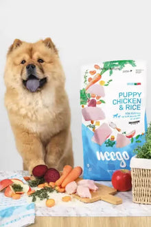 https://cdn.shopify.com/s/files/1/0916/7627/9129/files/LGPuppy2-6913522b82ad4_g.avif?v=1773675168