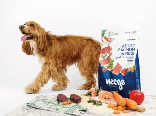 Weego Dog Low Grain Food Adult Salmón y Arroz Low Grain 3 KG