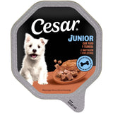 Mars Cesar Perro Cachorro - Comida húmeda para perro