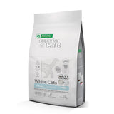 https://cdn.shopify.com/s/files/1/0916/7627/9129/files/NPSC47630.webp?v=1776978136