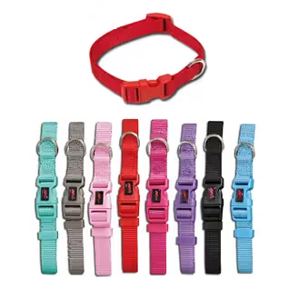 Collar básico de nailon Nayeco para perro 20 mm x 40-55 cm