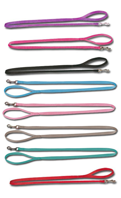 Coleira para cão Nayeco Basic Leash Nylon | 20 mm x 100 cm | Preta