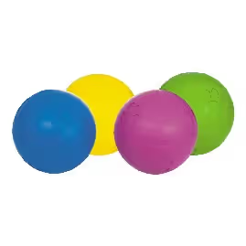 Nayeco Engraved Rubber Ball
