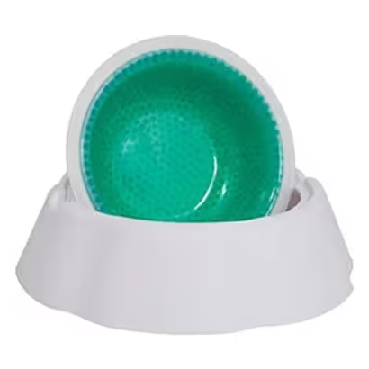 Nayeco Ice Bowl Refreshing Dog Food Bowl