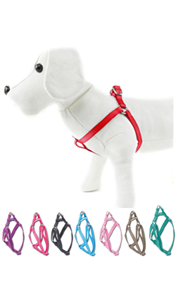 Nayeco Peitoral Basico Nylon | 10 mm x 15-25 cm para cão | Azul