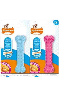Nylabone Puppy Teething Chew Dental XS | Rosa