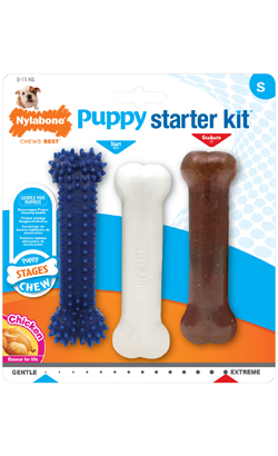 https://cdn.shopify.com/s/files/1/0916/7627/9129/files/Nylabone_Puppy_Teething_Chew_Starter_Kit.png?v=1737458414