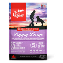Orijen Dog Puppy Large Breed
