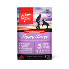 https://cdn.shopify.com/s/files/1/0916/7627/9129/files/ORD105.webp?v=1776969236