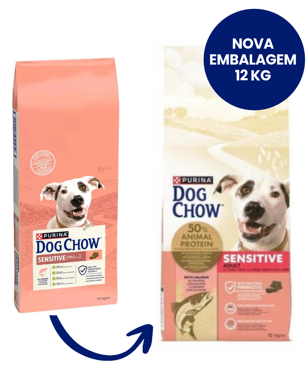 Dog Chow Adulto Sensível Cão Salmão - Ração seca para cão com digestão sensível