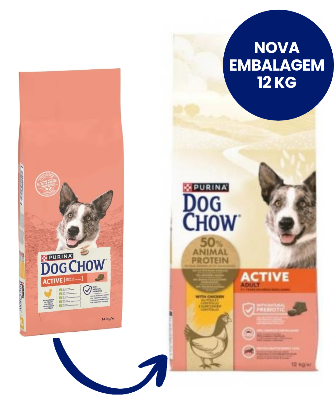 Dog Chow Perro Adulto Activo Pollo - Pienso seco para perro