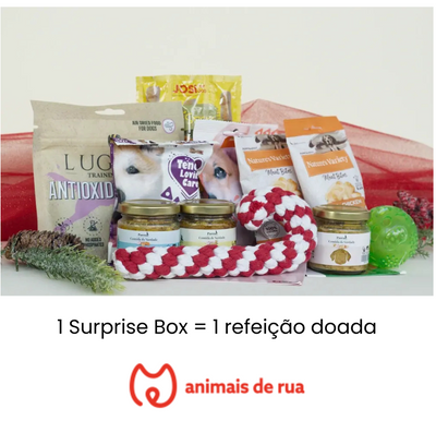 Surprise Box de Natal para Cão