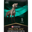 Ração Veterinária para Cão PPVD Canine EN - Gastroenteric | 12 kg