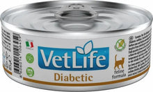 Farmina Vet Life Natural Diet Diabetic Cat - Wet food for cats with diabetes