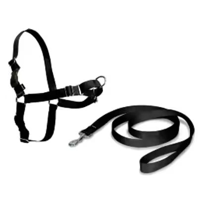 Nayeco Easy Walk Harness Black
