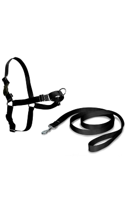 Peitoral para cão Nayeco Easy Walk Harness Black | X-Large