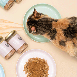 Purrmi Alimento Natural para Gato - Frango | Wet (Frasco)	 | 90g