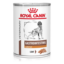 Royal Canin VHN Gastro Intestinal Low Fat Adult Dog - Wet food for dogs with digestive problems