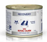 Royal Canin Canine Recovery Perro y Gato - Comida húmeda para perro y gato en recuperación