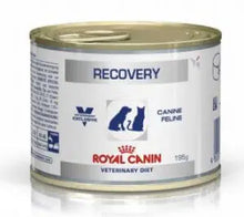Royal Canin Canine Recovery Cão e Gato - Ração húmida para cão e gato em recuperação