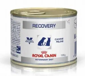 Royal Canin Canine Recovery Perro y Gato - Comida húmeda para perro y gato en recuperación