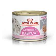 Royal Feline Mother Babycat Box