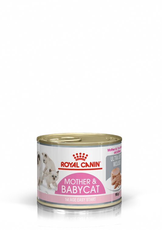 ROYAL FELINE MOTHER BABYCAT CAJA | 12 X 195GR