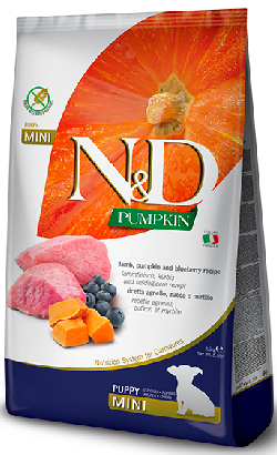 Ração para cão N&D Pumpkin Dog Lamb & Blueberry Puppy Mini  | 800 g