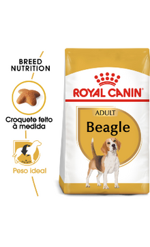 https://cdn.shopify.com/s/files/1/0916/7627/9129/files/Royal_Canin_Beagle_Adult.png?v=1737392080