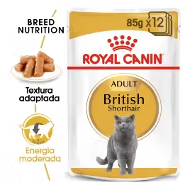 Royal Canin British Shorthair Adult Cat - Wet cat food for weight control and urinary health