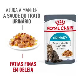 Royal Canin Urinary Care Adult Cat in Jelly - Wet cat food for urinary health